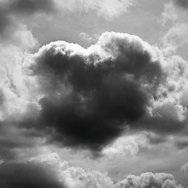 Rami Zian no im not Single