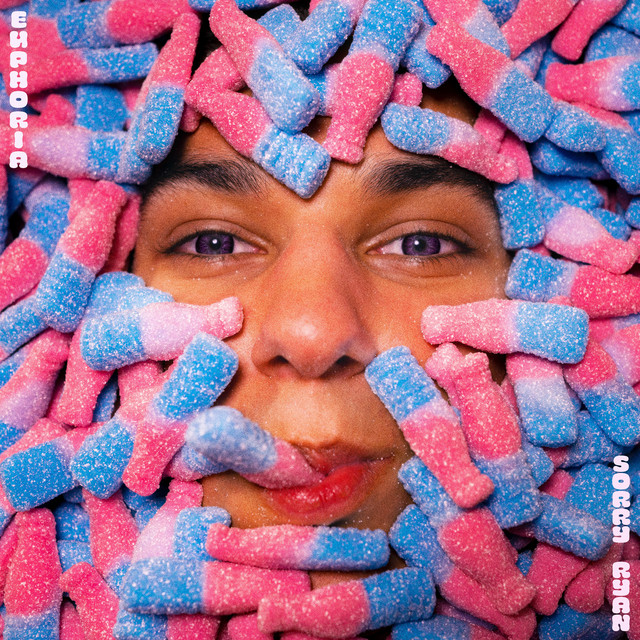 sorry ryan EUPHORIA Single
